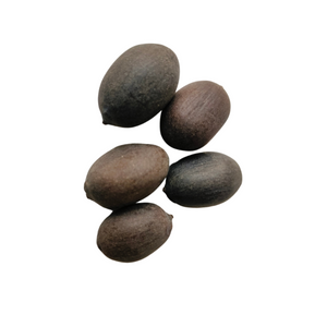 Kamal Gatta / Dried Lotus Seed (10 seeds)